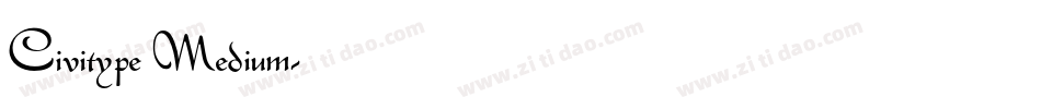 Civitype Medium字体转换